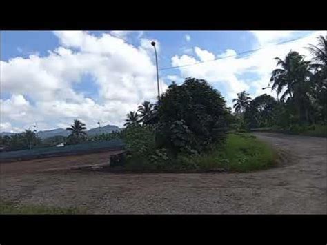 agumil philippines inc palawan|Agumil Philippines,inc. .